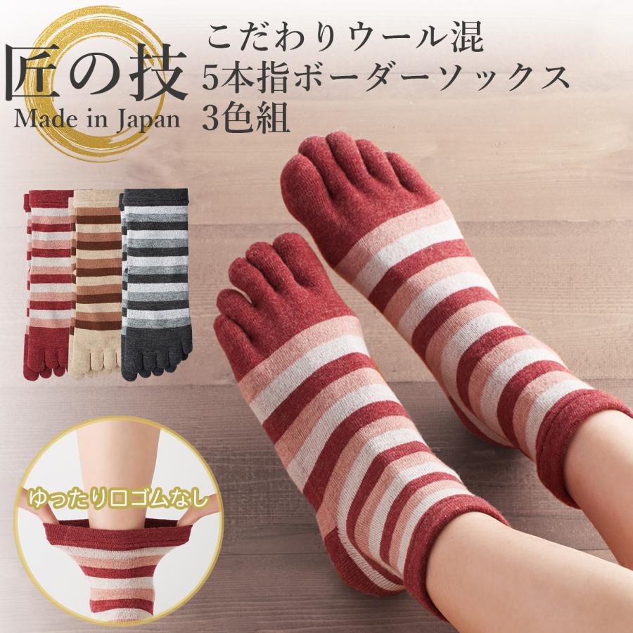 三笠（mikasa） 匠の技 こだわり ウール混 5本指 ボーダー ソックス 3