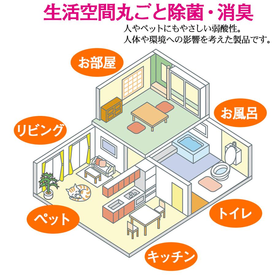 送料無料 除菌パウダー 業務用ウイレス・シュッシュ 5包入‐次亜塩素酸 