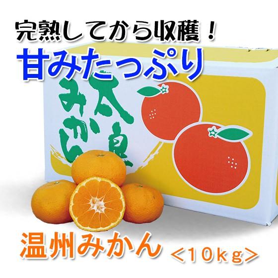 みかん】温州ミカン 家庭用10kg箱【完熟】 : 田島柑橘園&加工所