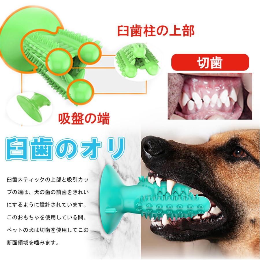 犬噛む ペット用 ワンちゃんの歯磨き 安全 耐久性 丈夫 口腔ケア 歯石予防 スティック 耐噛み耐咀嚼ストレス解消 新作 人気 口腔の清潔用品
