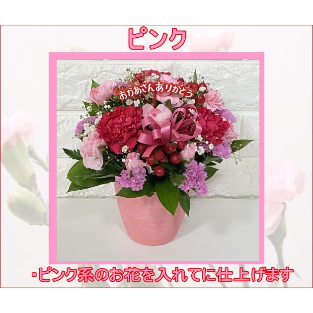 2025 母の日 ギフト 花色が選べる 母の日 カーネーション 2025 母の日 ギフト 花色が選べる 母の日 カーネーション