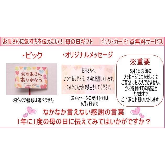 20224年 母の日 おまかせアレンジメント　7,000円（税別）｜kuri878｜03