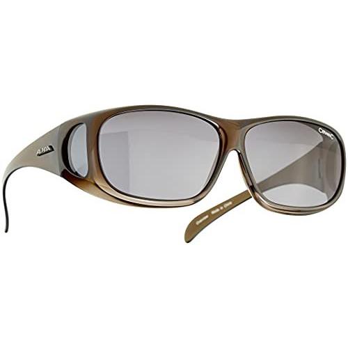 ALPINAアルピナ OVERVIEW 偏光レンズサングラス ブラックトランスパレント 8354431 並行輸入 並行輸入