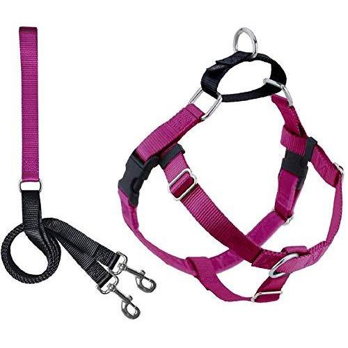 Freedom No Pull Harness and Leash Training Kit Raspberry Large by 2