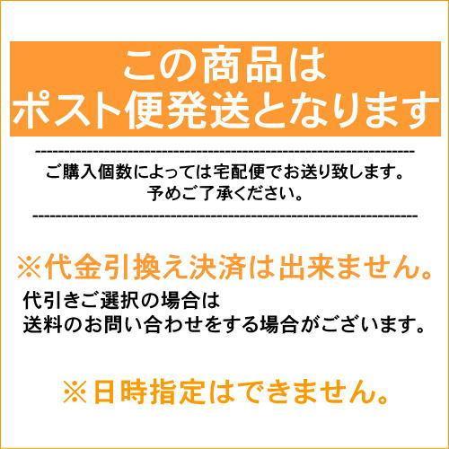 レリッシュ 2箱セット 1箱10枚入 インフルエンサー わかな カラコン 度あり 度なし ポスト便送料無料 代引き不可｜kurikon｜03