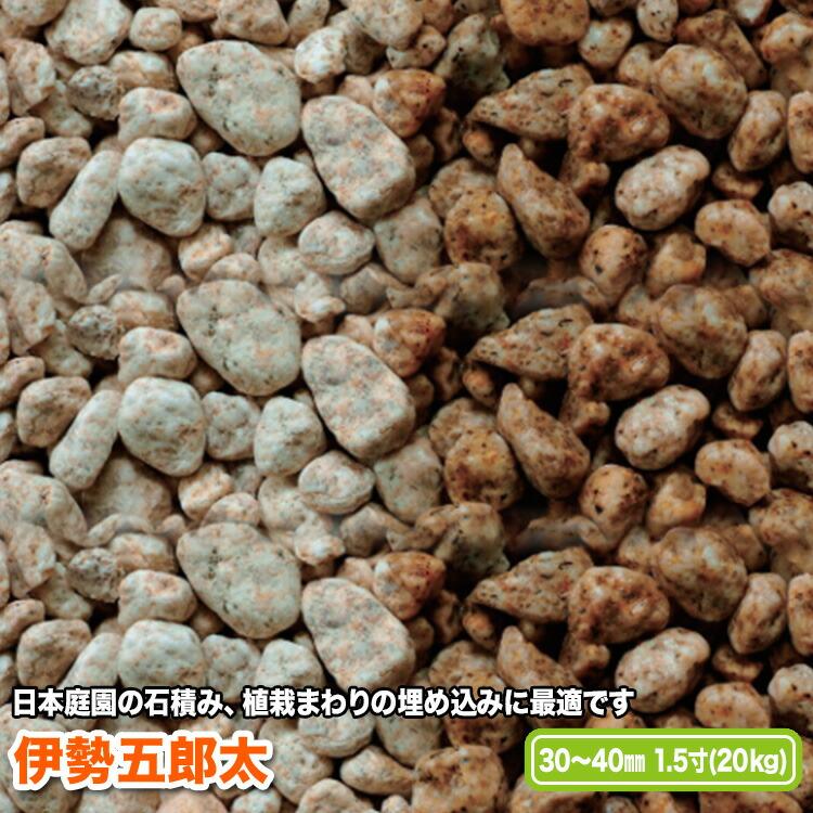 伊勢五郎太 30〜40mm(1.5寸)【送料無料】 | 