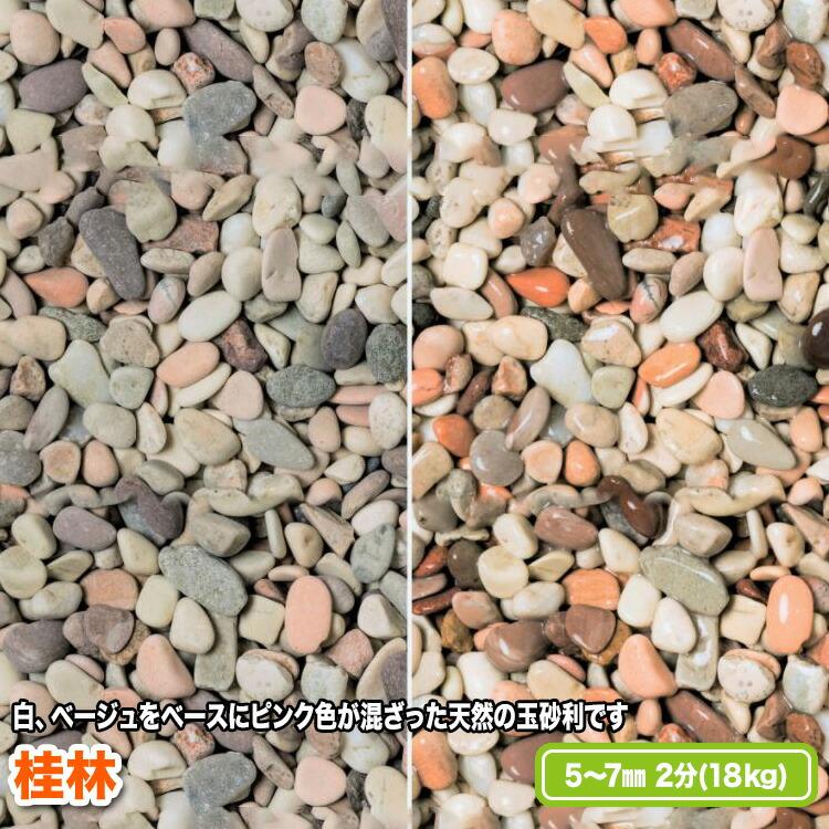 桂林 5〜7mm(2分)【送料無料】 | 
