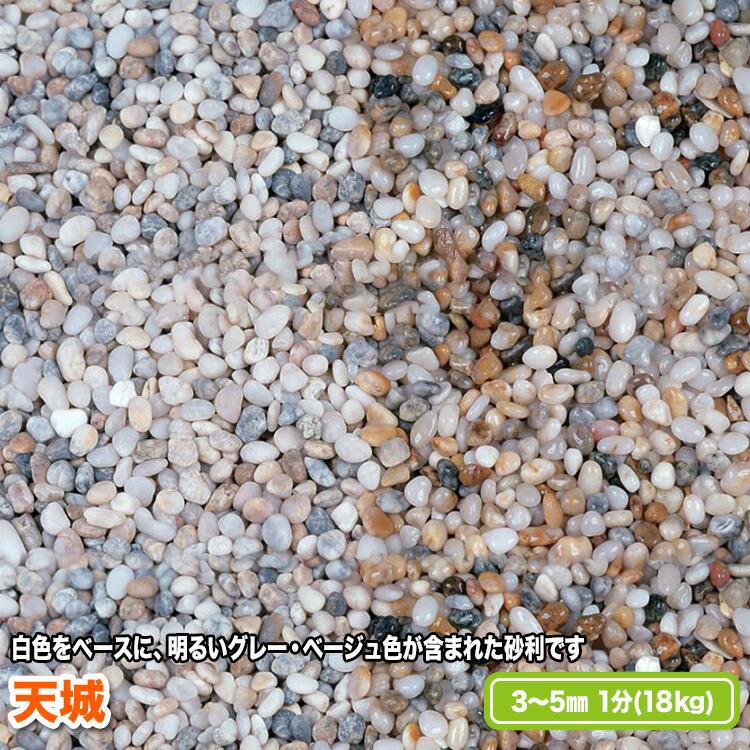 天城 3〜5mm(1分)【送料無料】 | 