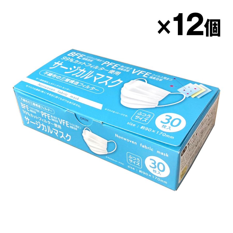 99％カットフィルター サージカルマスク ふつうサイズ 30枚入×12箱