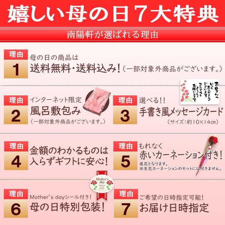 ＼10%OFFクーポン／ 母の日 プレゼント ギフト スイーツ 和菓子 お菓子 2024 カーネーション 花とスイーツ 高級 食べ物 岐阜県中津川栗100％ 栗きんとん 10個｜kuriya｜05