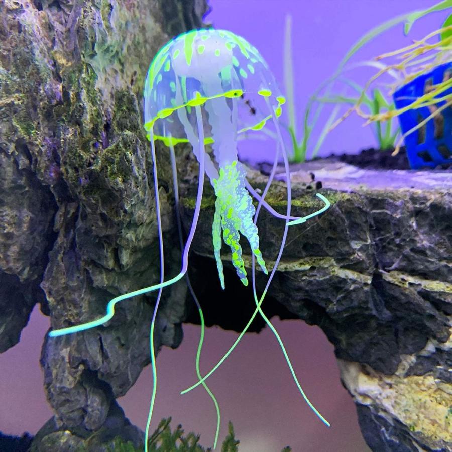 Energypower 観賞用 シリコン製人工クラゲ 蛍光色６色セット フェイクジェリーフィッシュ カラフル イミテーション 海月 水母 餌 Kuros Shop 通販 Yahoo ショッピング