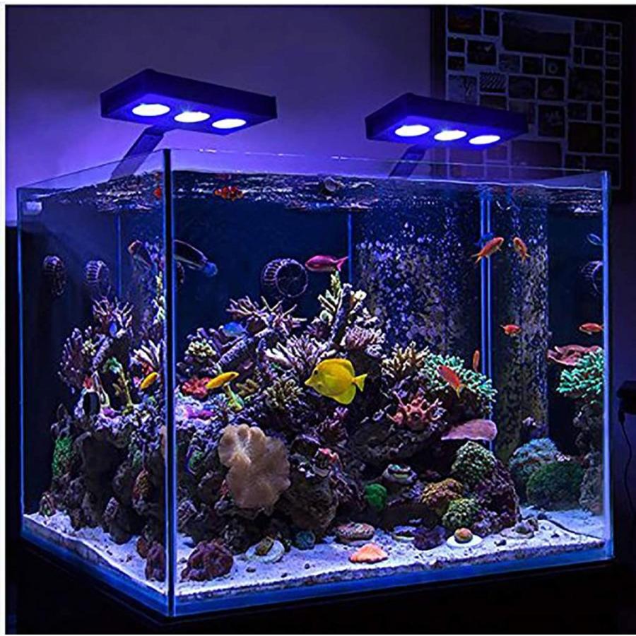 Metis Led 水槽ライト アクアリウムライト 海水魚 サンゴ 海水槽 照明 調光 Led3個 高光度 長寿命 強力 水族館 組立簡 007 Kuros Shop 通販 Yahoo ショッピング