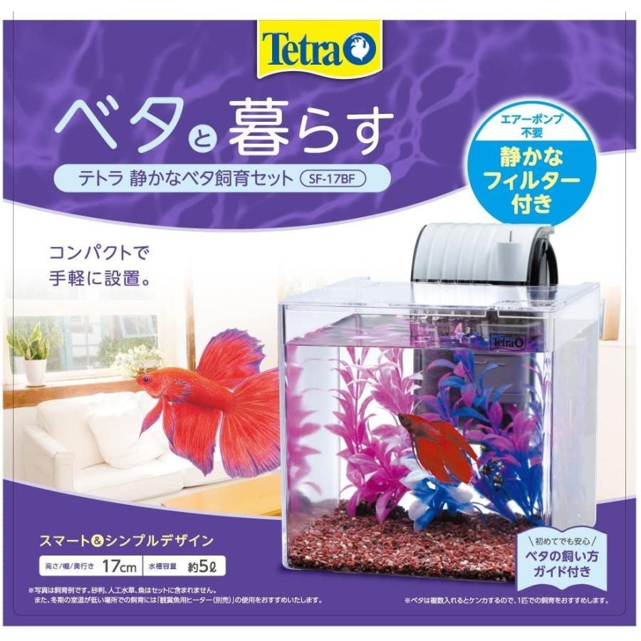 テトラ Tetra テトラ 静かなベタ飼育セット Sf 17bf Kuros Shop 通販 Yahoo ショッピング