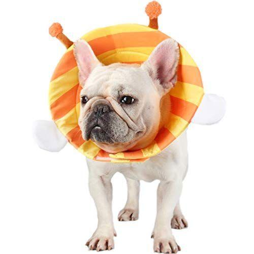 犬や猫に エリザベスカラーの人気おすすめランキング15選 寝るときに使えるものも セレクト Gooランキング