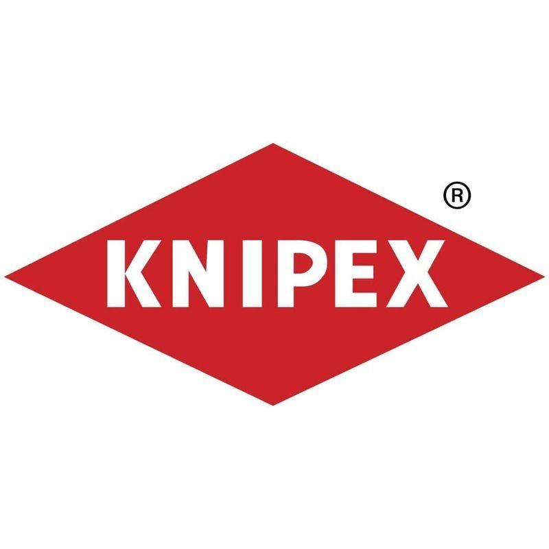 クニペックス　KNIPEX　002001V09　精密スナップリングPセット(4ホン　トレイツキ)
