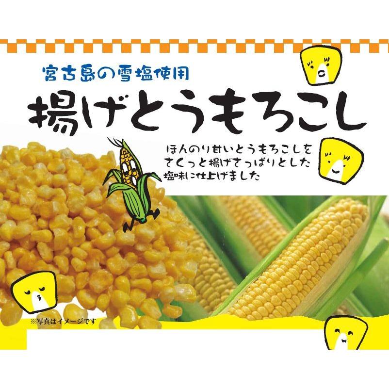揚げとうもろこし 160g 小分け個包装ピロ 愛知工場製造品 黒田屋