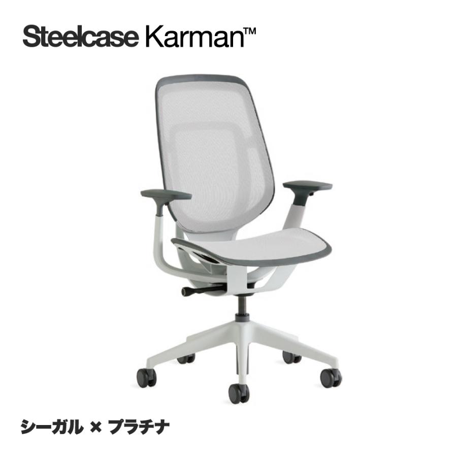 419a000ss
