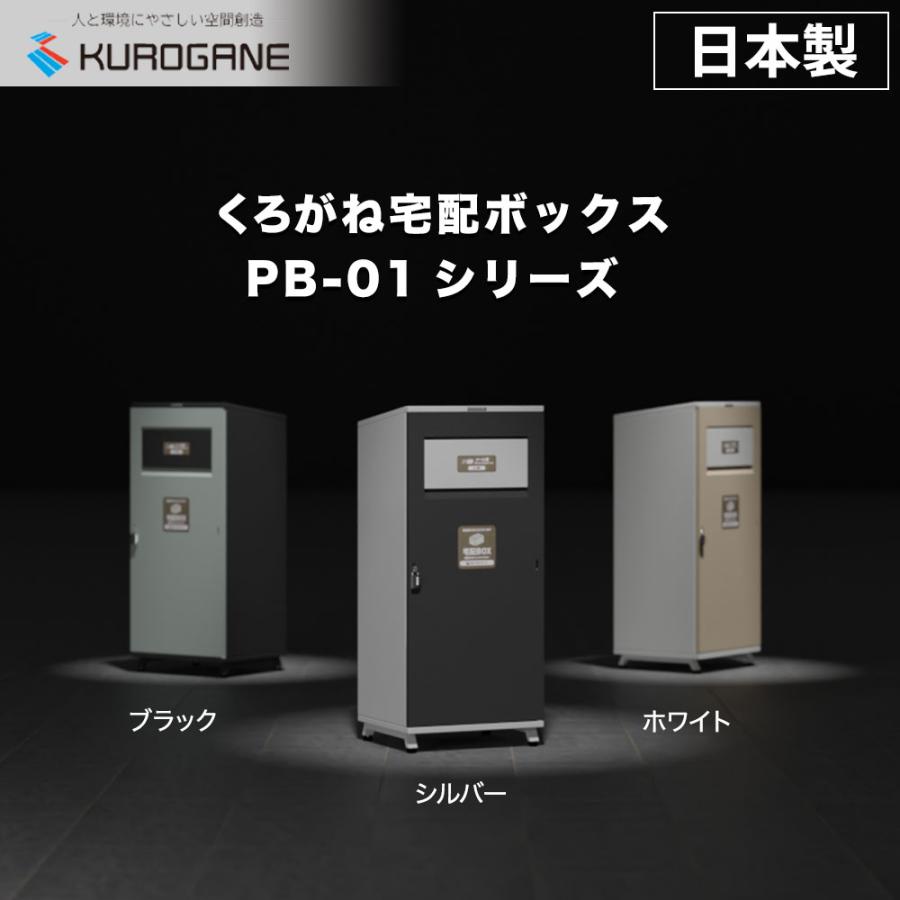 宅配ボックス 【2段構造 メール便もOK 】 ポスト一体型 戸建て用 簡単