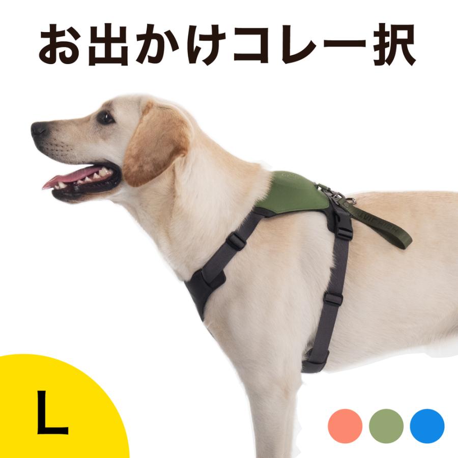 テールハイ 伸縮リード 一体型 ハーネス セット Lサイズ Y字型デザイン 可愛い おしゃれ 小型犬 中型犬 大型犬 胴輪 多頭 Tailhigh Tailhigh L クロキ商事株式会社 通販 Yahoo ショッピング