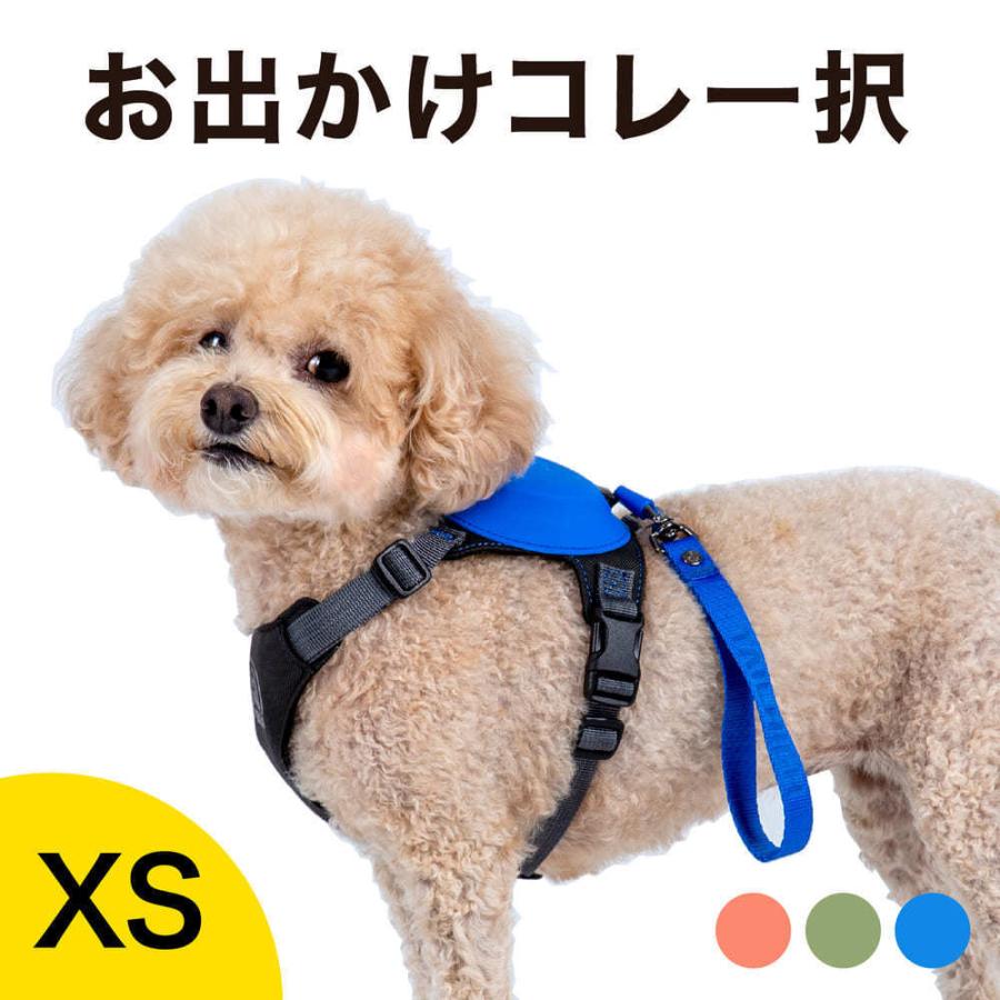 テールハイ 伸縮リード 一体型 ハーネス セット XSサイズ Y字型デザイン 可愛い おしゃれ 小型犬 中型犬 大型犬 胴輪 多頭 TAILHIGH