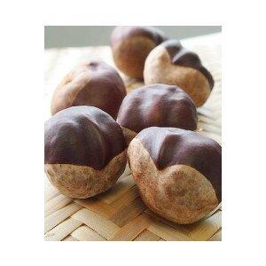 (冷蔵便) 遊月亭 アク抜き栃の実1ｋg 栃餅の作り方レシピ付 栃餅 餅つき　餅　栃　栃の実 | 遊月亭 | 04