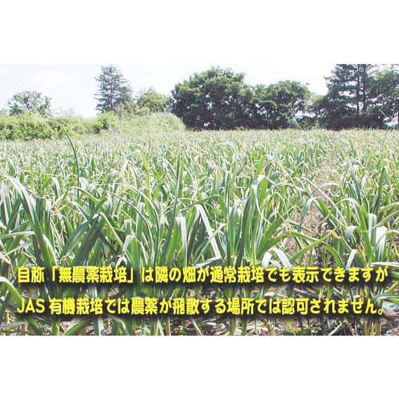 にんにく 有機にんにく 青森県田子町産 農林水産省 有機jas認定 無農薬栽培 15 黒にんにくの岡崎商店 通販 Yahoo ショッピング