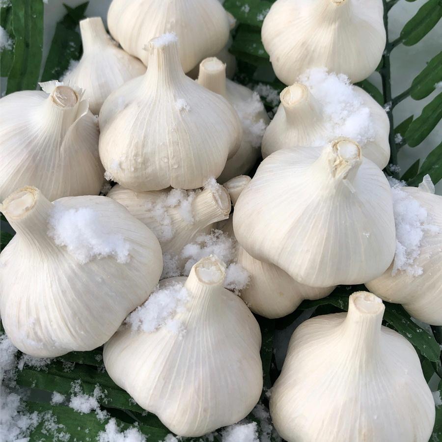 たっこニンニク 上級大サイズ 1kg 2024年度産　国産ニンニク |  | 03