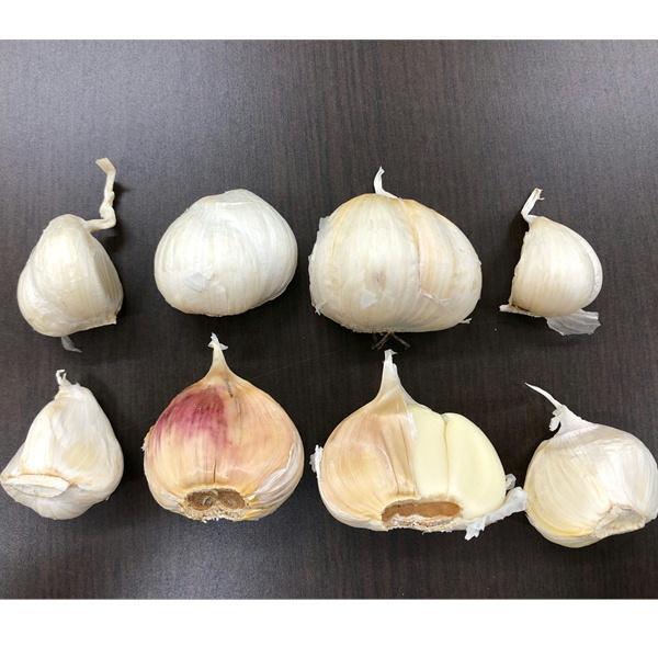 ニンニク バラ 訳あり 青森県産 にんにく 1kg : 黒にんにくの ニンニク バラ 訳あり 青森県産 にんにく 1kg : 黒にんにくの