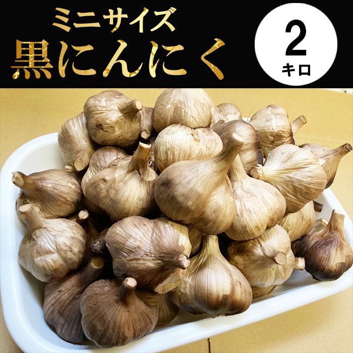 黒にんにく 青森産 ミニ 福地ホワイト六片 2kg Mサイズ未満の玉 ミニ黒 
