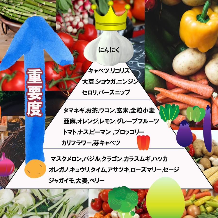 にんにく 青森産 福地ホワイト六片種 バラ 500ｇ 送料無料 訳あり ニンニク 令和5年産 お料理に 青森にんにく｜kuroninnikutonya｜08