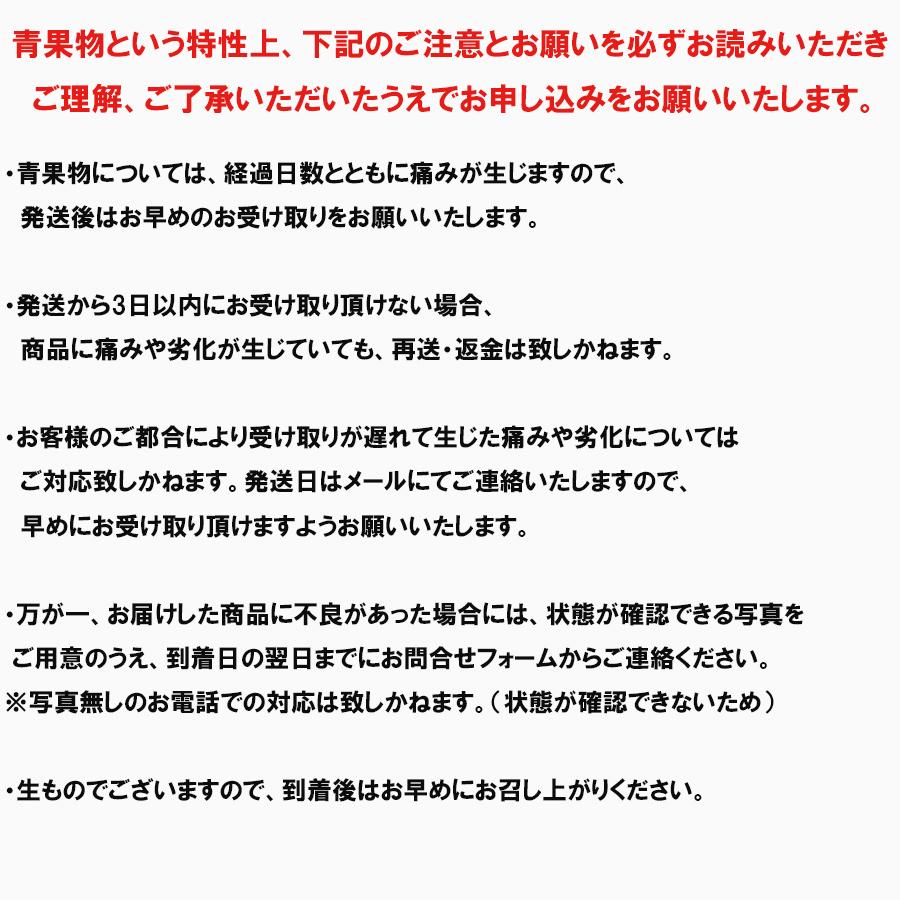 にんにく 青森産 福地ホワイト六片種 バラ 500ｇ 送料無料 訳あり ニンニク 令和5年産 お料理に 青森にんにく｜kuroninnikutonya｜11