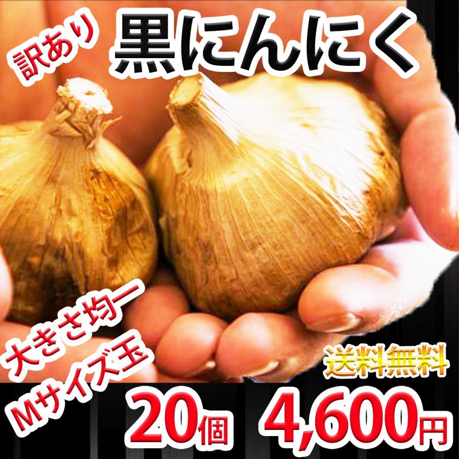 青森県 にんにくの種20kg 大.中 消毒済み 送料込 【公式通販】