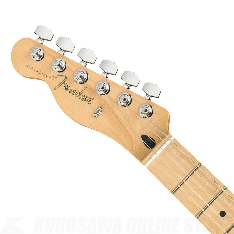 Fender Player Telecaster Left-Handed, Maple Fingerboard, Butterscotch｜kurosawa-music｜04