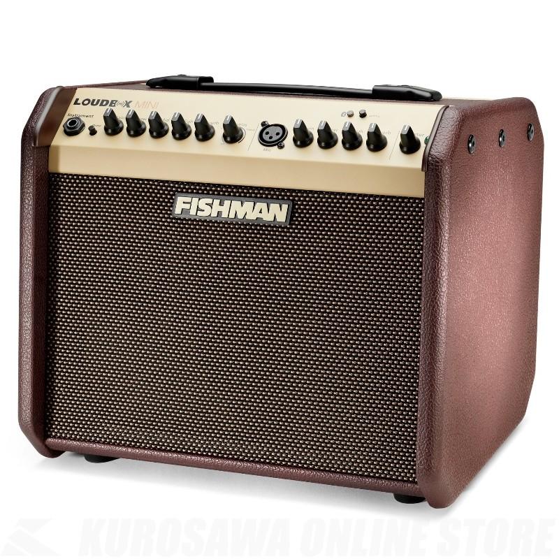 FISHMAN Loudbox Mini Bluetooth Amplifier[PRO-LBT-500]《期間限定！ポイントアップ！》の画像