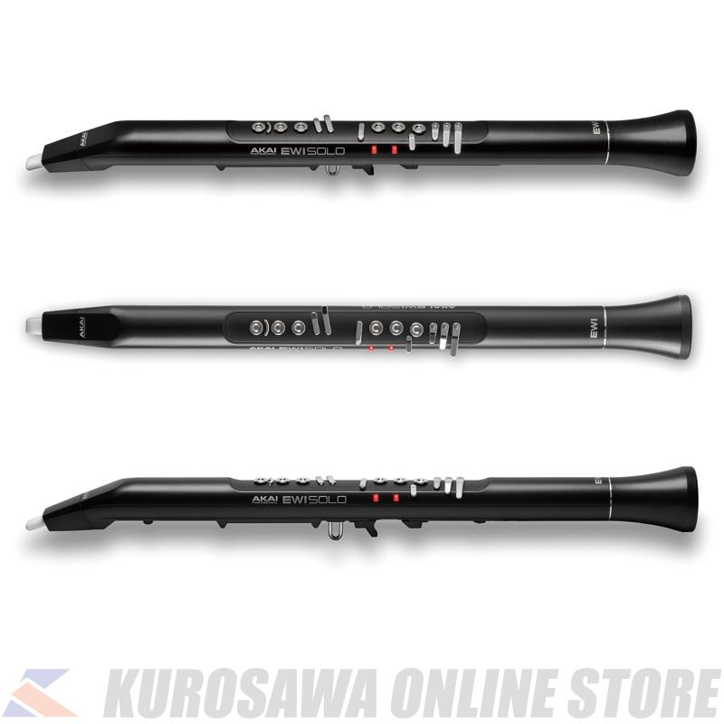 AKAI professional AKAI EWI SOLO アカイ / スピーカー内蔵ウインド