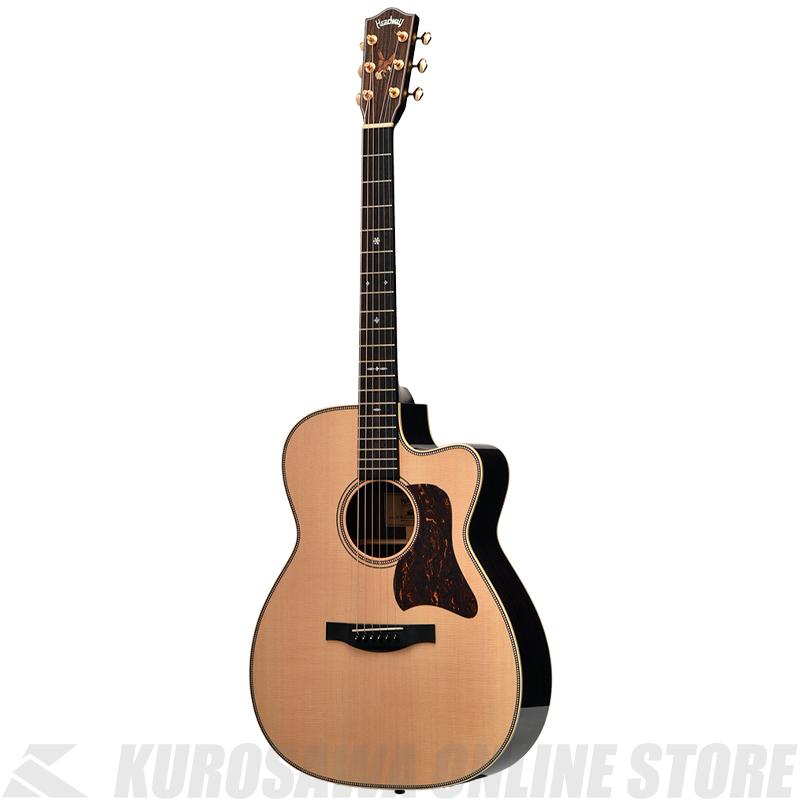 AoRin Tune ビンテージ配線材で音色調整 フォトジェニック 試奏動画