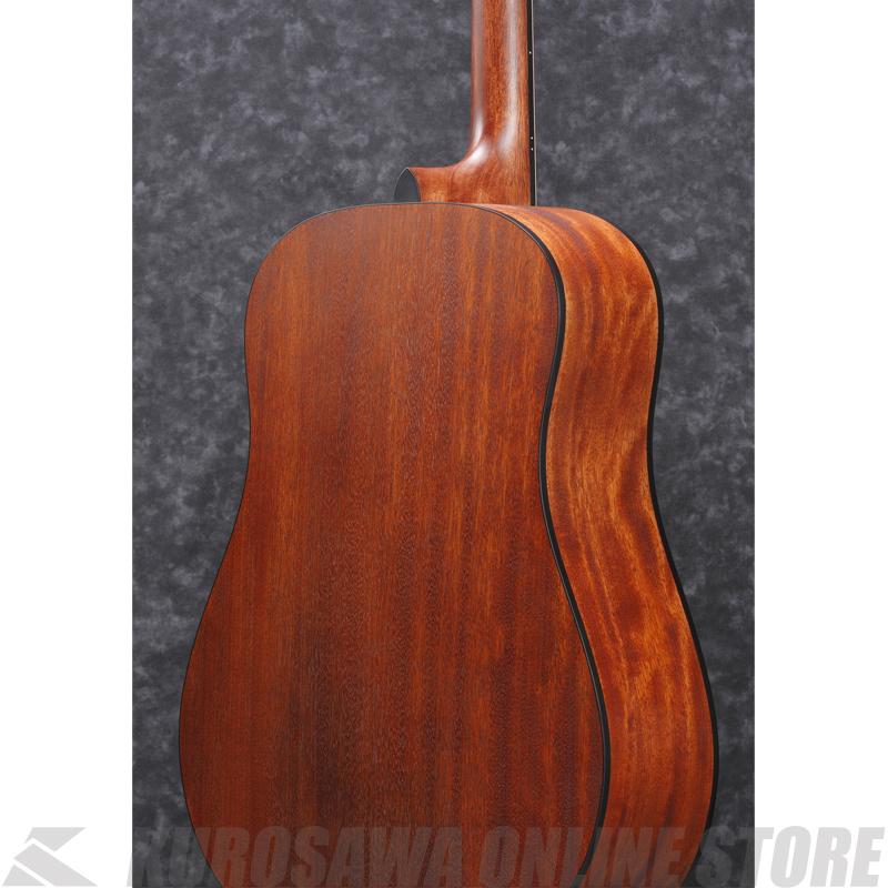 Ibanez AAD100-OPN 【スポット生産品】 【送料無料】 【高性能シールド