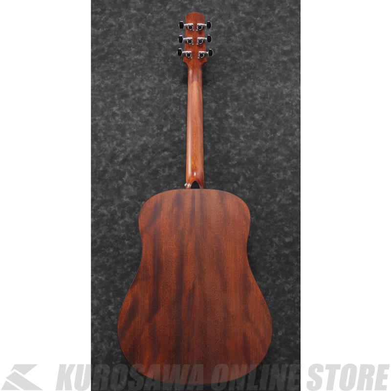 Ibanez AAD140-OPN 【送料無料】 【高性能シールドプレゼント