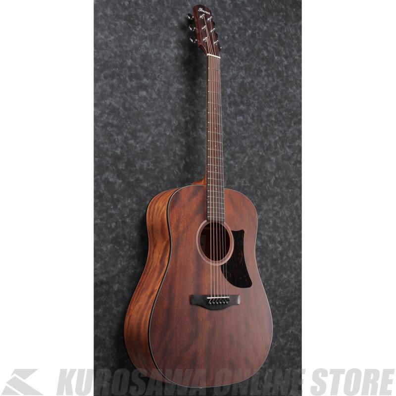 Ibanez AAD140-OPN 【送料無料】 【高性能シールドプレゼント