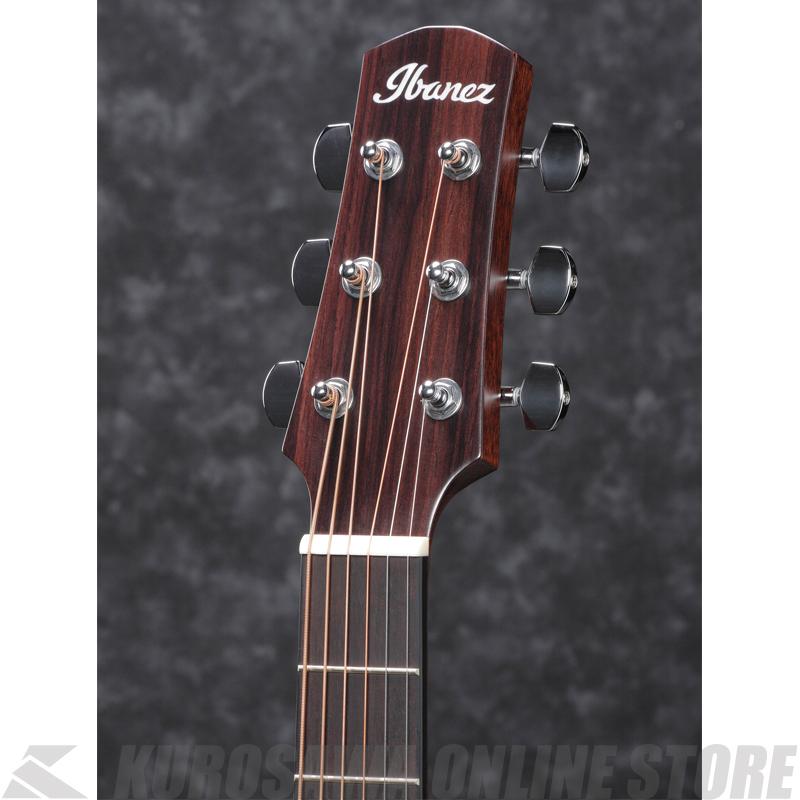 Ibanez AAD140-OPN 【送料無料】 【高性能シールドプレゼント