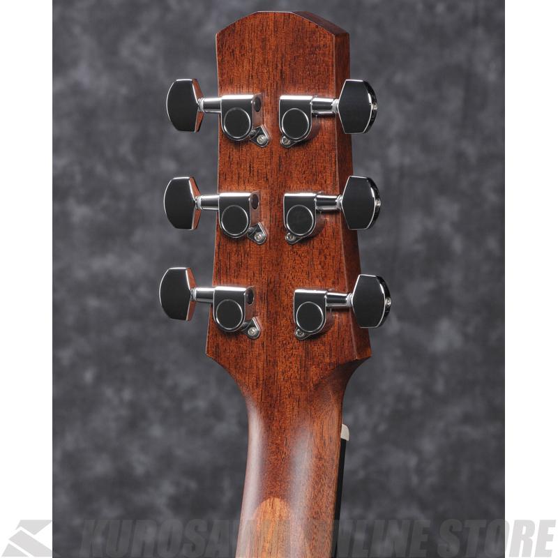 Ibanez AAD140-OPN 【送料無料】 【高性能シールドプレゼント