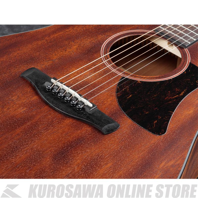 Ibanez AAD140-OPN 【送料無料】 【高性能シールドプレゼント