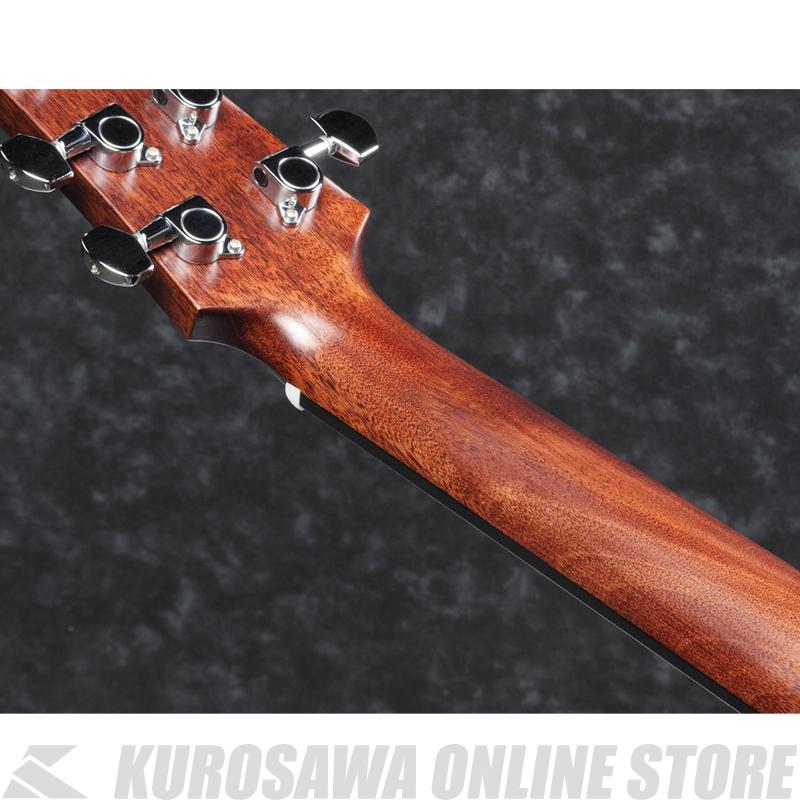 Ibanez AAD140-OPN 【送料無料】 【高性能シールドプレゼント