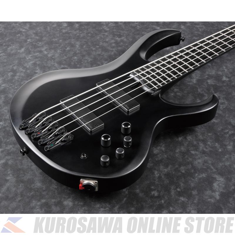 Ibanez（アイバニーズ） Ibanez BTB625EX-BKF [IRON LABEL]《5弦モデル