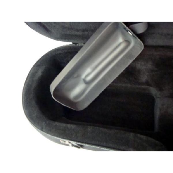 bam バム アルトサックス用 ケース SOFTPACK ソフトパックケース bam SOFTPACK アルトサックス用ケース ミント