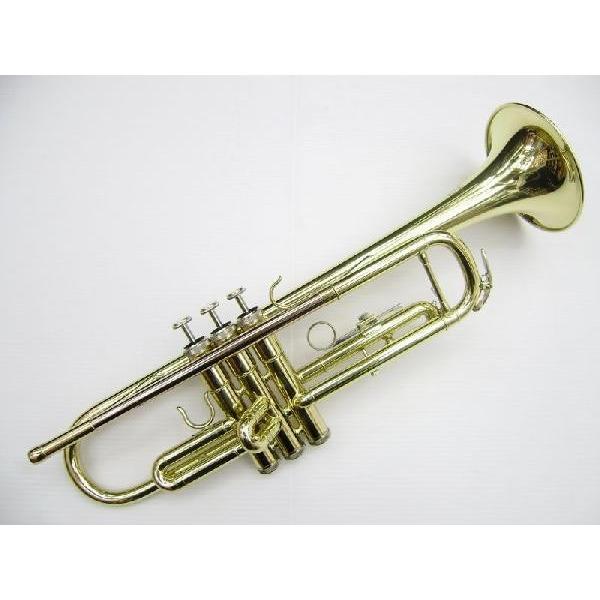 期間限定！ポイントアップ！》J.Michael TR-380(マンスリープレゼント