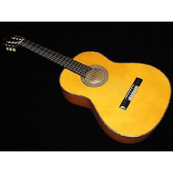 《期間限定！ポイントアップ！》ホアン・エルナンデス Profesional Flamenca(今なら足台＆有名ブランド弦が付いてくる!)