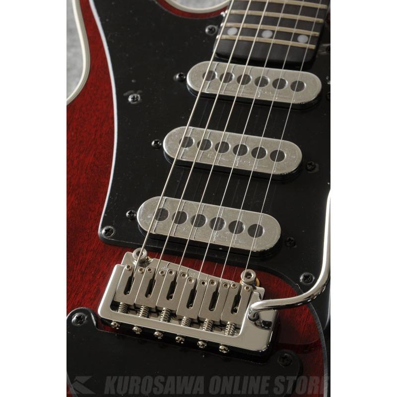 Brian May Guitars Special (Antique Cherry) [Queen