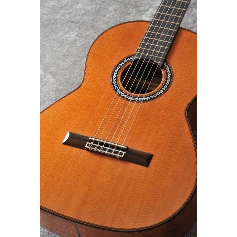 Cordoba Series Luthier C9 Parlor (クラシックギター)（ご予約受付中）｜kurosawa-music