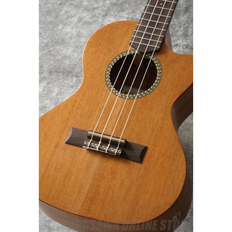 期間限定！ポイントアップ！》Cordoba コルドバ 20TM-CE テナー 
